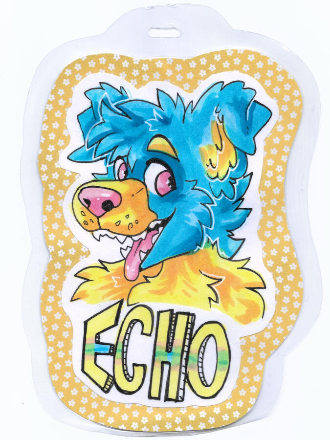 Echo Badge